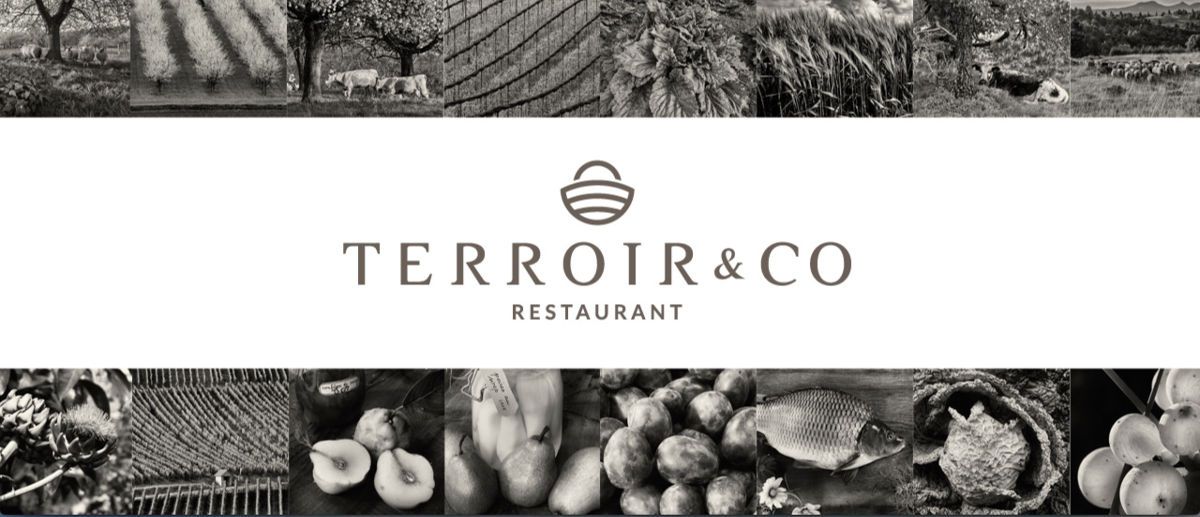 Terroir & Co : une nouvelle expérience bistronomique au cœur de Strasbourg