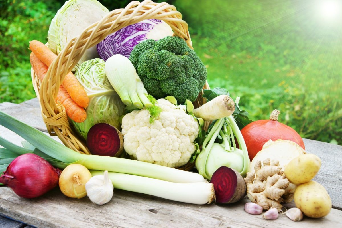 Manger des légumes de saison en janvier : les incontournables à découvrir
