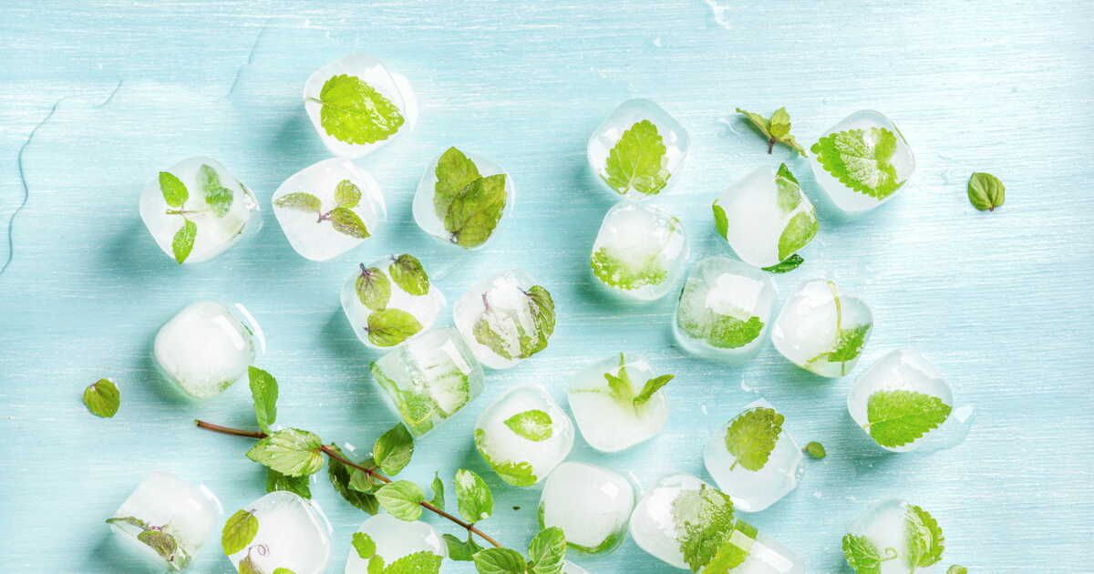 Les secrets pour congeler la menthe efficacement