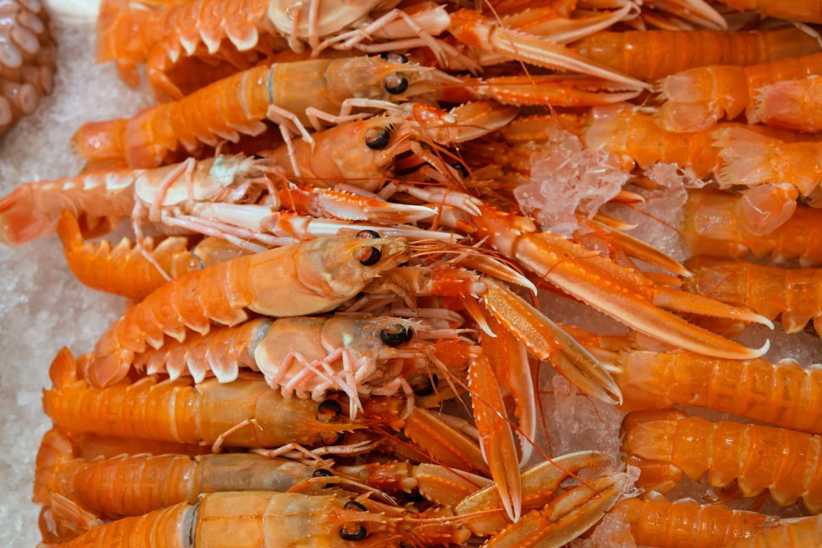 Les secrets de la cuisson parfaite des langoustines
