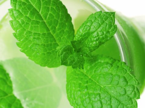 choisir le meilleur sirop de menthe : nos astuces révélées