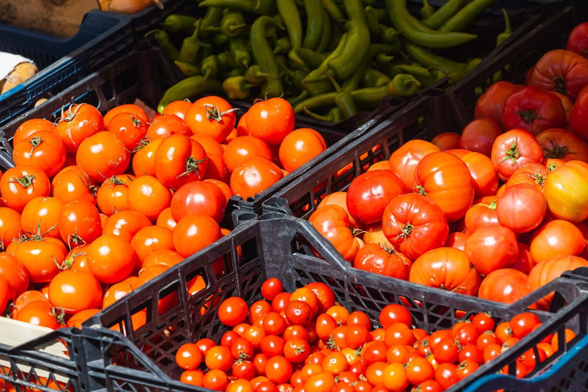 La tomate cerise : une explosion de goût venue du passé