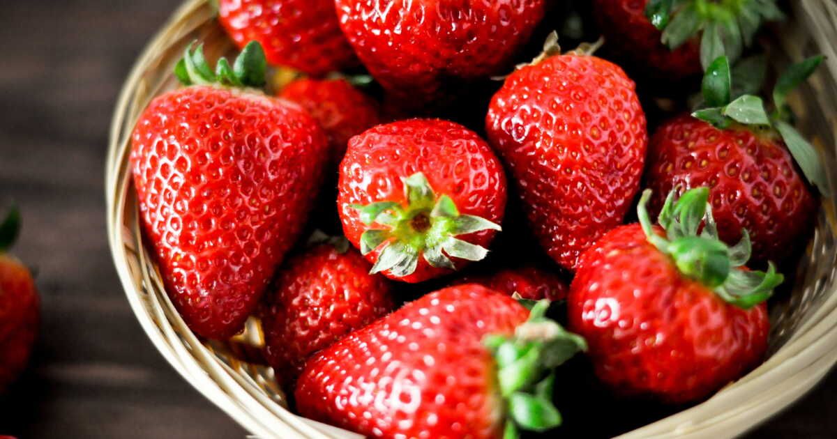 Le calendrier savoureux des fraises : quand déguster chaque variété ?