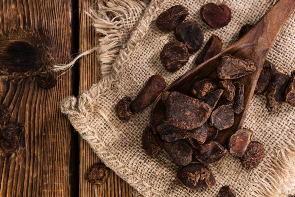Découverte des bienfaits de la noix de cola, un stimulant naturel fascinant
