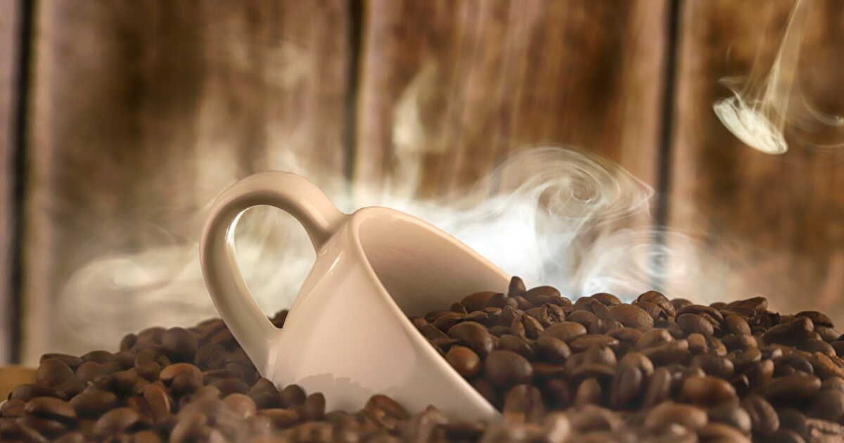 Les secrets d'un bon café : guide du torréfacteur