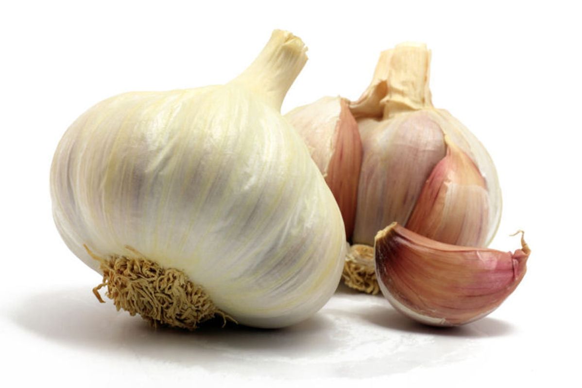 Astuces pour conserver l'ail et préserver ses saveurs